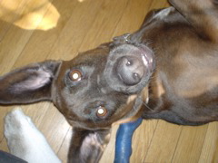DSC00319.JPG