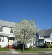 DSC00321.JPG