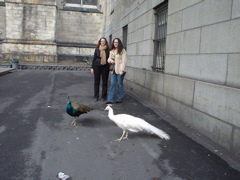 DSC00035.JPG