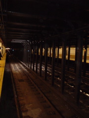 DSC00338.JPG