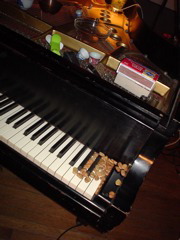 DSC00079.JPG
