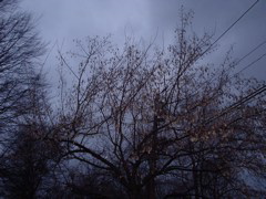 DSC00085.JPG