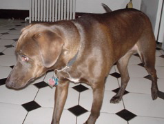 DSC00092.JPG