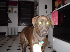 DSC00093.JPG