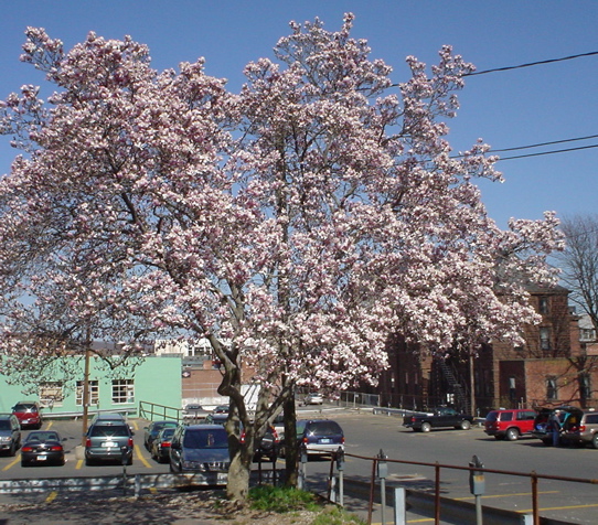 DSC02913.JPG