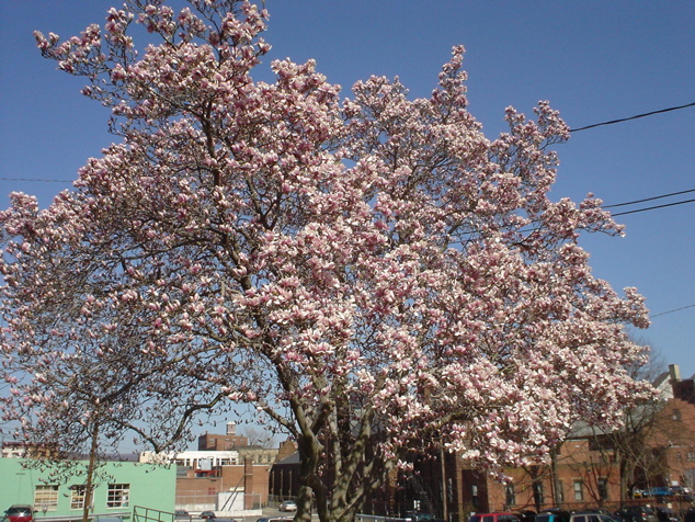 DSC02914.JPG