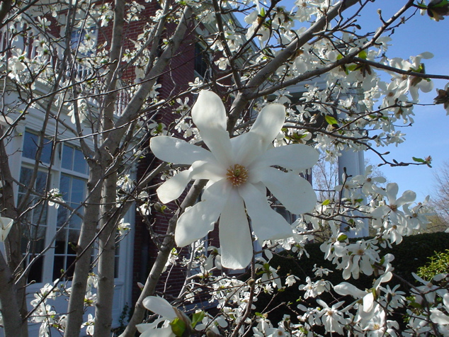 DSC02936.JPG