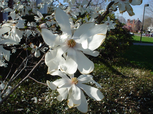 DSC02937.JPG