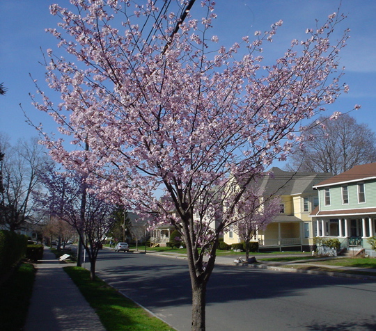 DSC02940.JPG