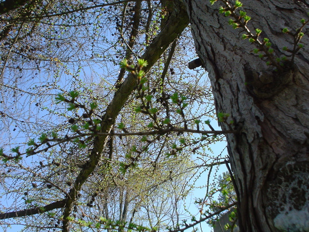 DSC02944.JPG