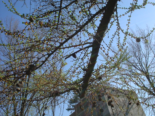 DSC02945.JPG