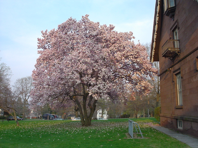 DSC02989.JPG