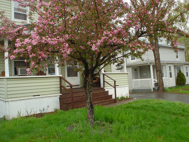 DSC03001.JPG