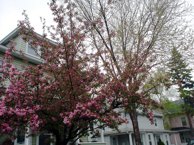 DSC03002.JPG