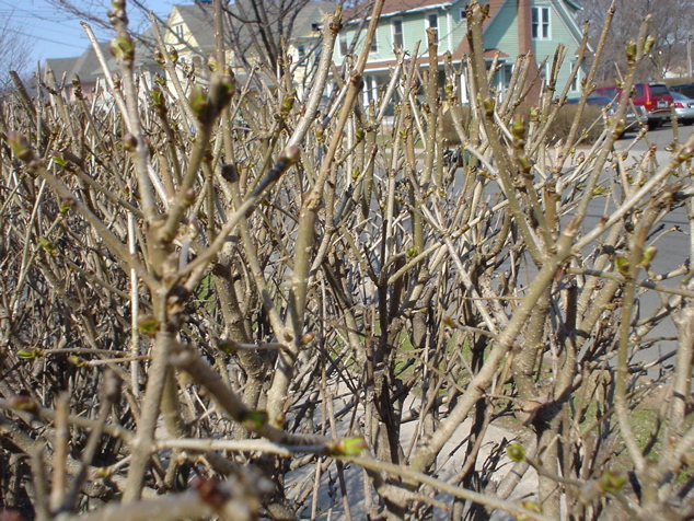 DSC02816.JPG