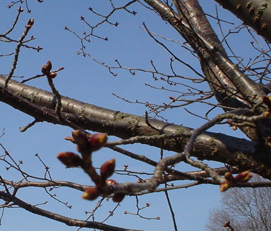 DSC02818.JPG