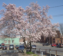 DSC02913.JPG