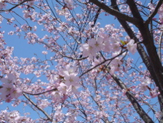 DSC02929.JPG