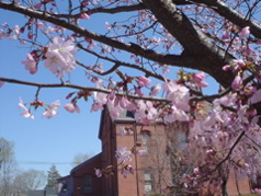 DSC02931.JPG
