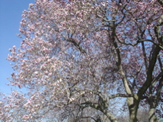 DSC02934.JPG