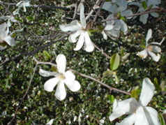 DSC02939.JPG