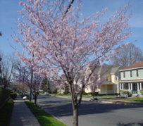 DSC02940.JPG