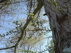 DSC02944.JPG