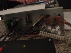 DSC02955.JPG
