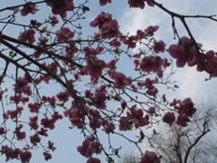 DSC02987.JPG