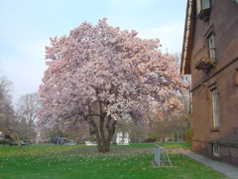 DSC02989.JPG