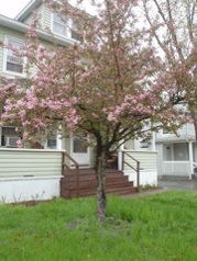 DSC03000.JPG