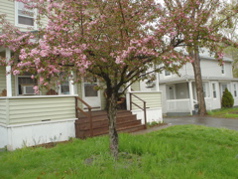 DSC03001.JPG