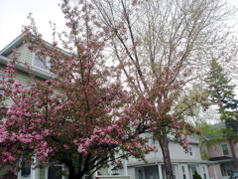DSC03002.JPG