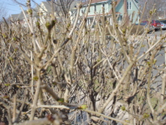 DSC02816.JPG
