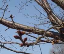 DSC02818.JPG