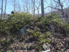 DSC02867.JPG