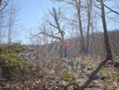 DSC02868.JPG