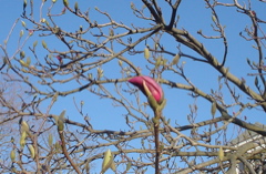 DSC02872.JPG