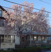 DSC02873.JPG