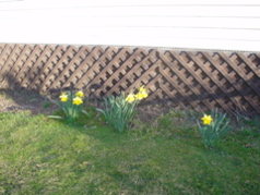 DSC02874.JPG
