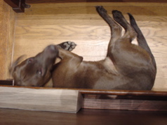 DSC02887.JPG
