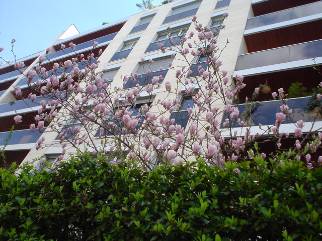 DSC04178.JPG