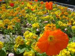 DSC04370.JPG