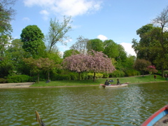 DSC04393.JPG