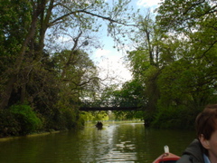 DSC04396.JPG