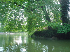 DSC04398.JPG