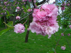 DSC04401.JPG