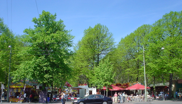 DSC05879.JPG