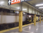 DSC01494.JPG