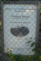 DSC01289.JPG